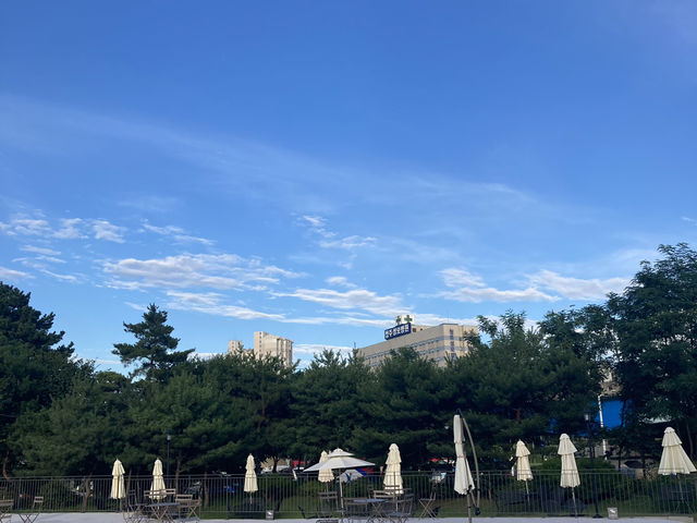 청주 대형카페 추천 💚