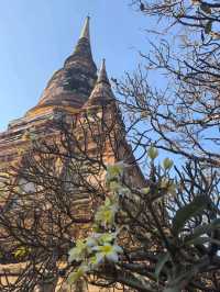 เที่ยววัดใหญ่ชัยมงคล: สัมผัสความสงบกลางเมืองเก่า