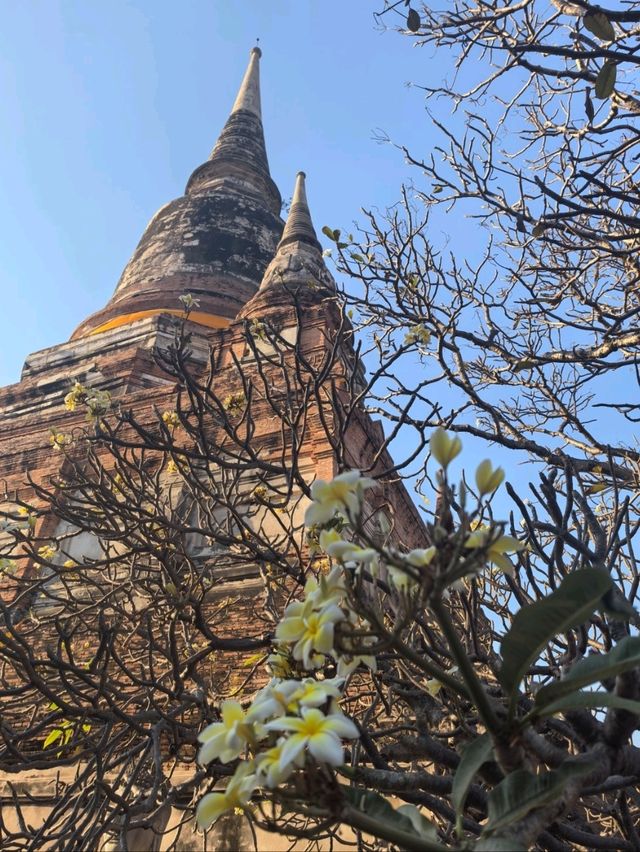 เที่ยววัดใหญ่ชัยมงคล: สัมผัสความสงบกลางเมืองเก่า