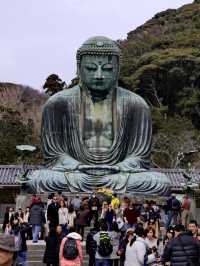 Tokyo & Kamakura Getaway