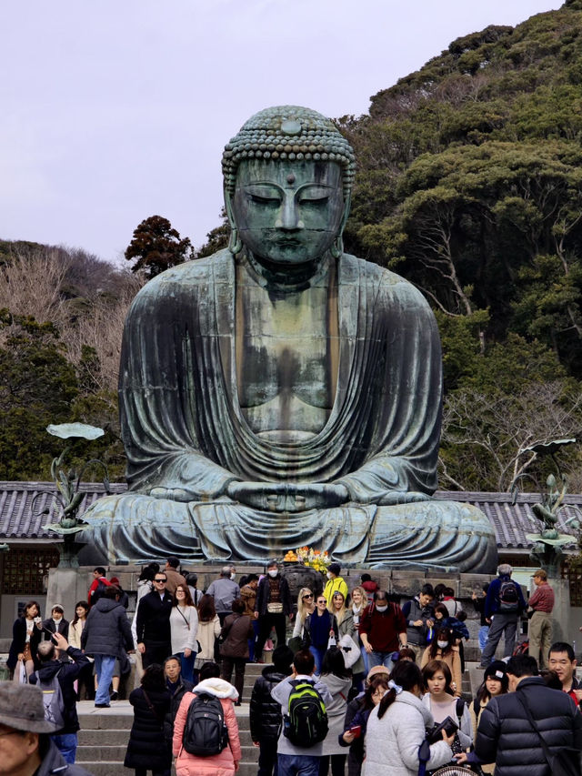 Tokyo & Kamakura Getaway