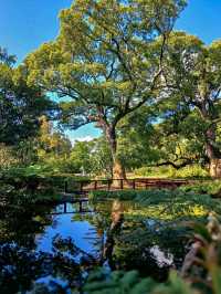 Arderne Gardens: Romance and Roots in Cape Town’s Leafy South