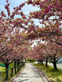 Tsuruokaseibu Park