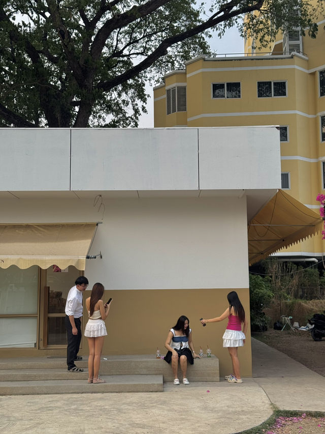 คาเฟ่เชียงใหม่ มุมดอกเฟื่องฟ้าสวยมากกก 🌸🏠✨