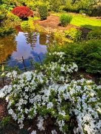 Queen Elizabeth Park – Vancouver’s Elevated Garden Sanctuary