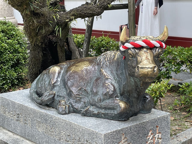 九州熊本福岡初體驗🌸超級適合帶長輩一起旅遊🥳