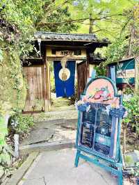 貓之細道