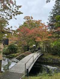 【軽井沢】秋の森で月を愛でる贅沢な時間「星のや軽井沢」
