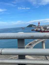 여름에 시원하게 영도어때! 🌊🦀🐳🌅🚢🦑
