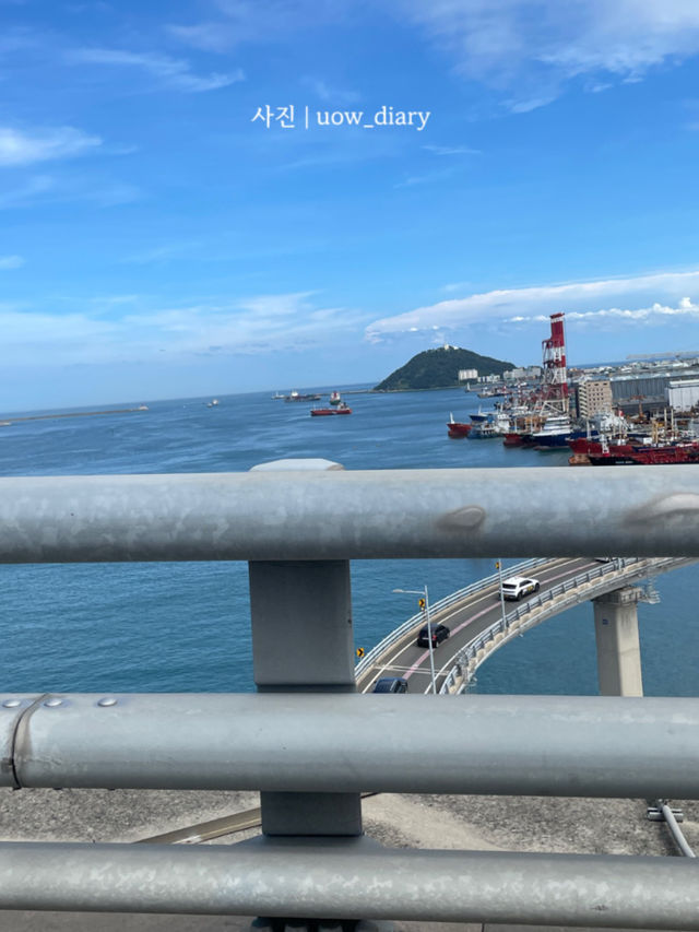 여름에 시원하게 영도어때! 🌊🦀🐳🌅🚢🦑
