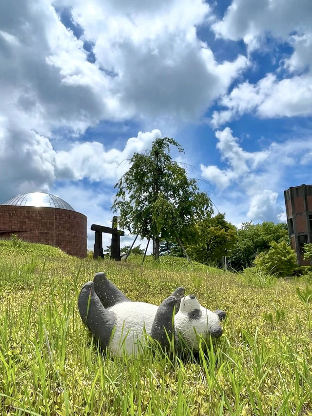 A Day of Adorable Art in Shiga 🐾