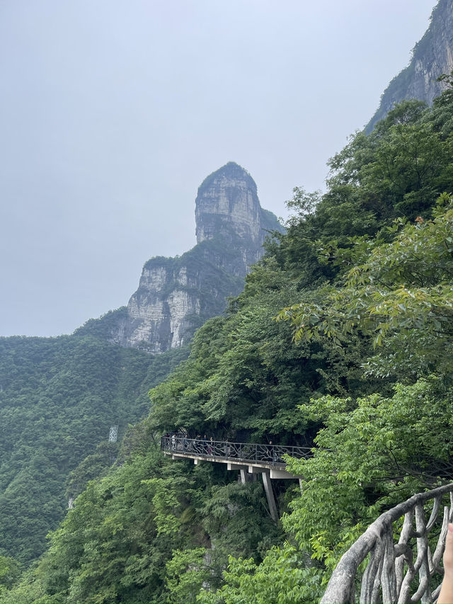 美景-高處不勝寒