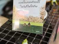 Sunsixmoon.cafe • ชลบุรี