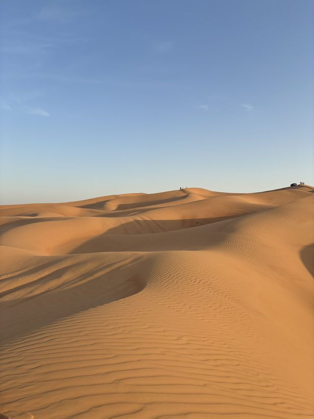 【ドバイ🇦🇪】観光スポット