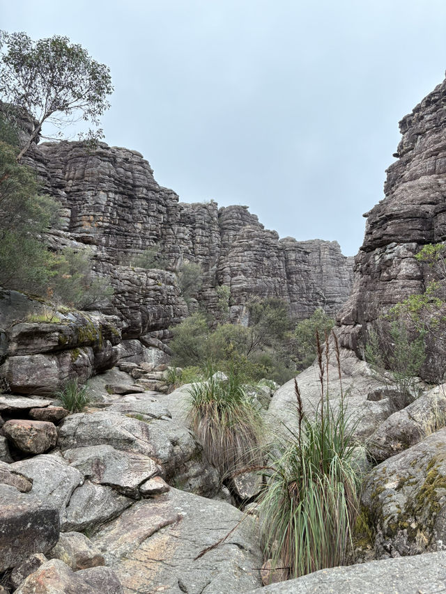 Grampians 2025