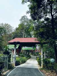 Favorite short hike in chiang mai