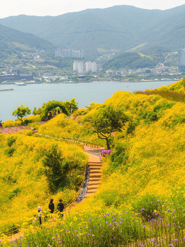 동화 속에 나올것처럼 비현실적이었던 꽃밭💛  