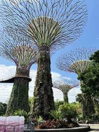 สิงคโปร์🇸🇬