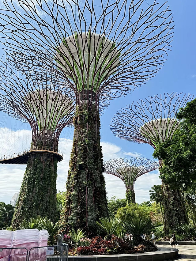 สิงคโปร์🇸🇬