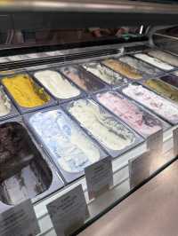 ✈️【新加坡🇸🇬轉機3小時，也能變身療癒系美食巡禮🍦🥐】