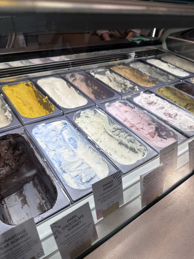 ✈️【新加坡🇸🇬轉機3小時，也能變身療癒系美食巡禮🍦🥐】