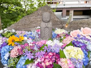 Ishikawa Prefecture Hydrangea Spots Special