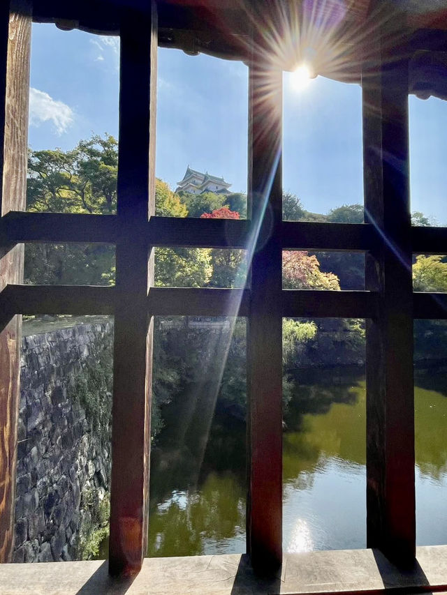 A Day Around Wakayama Castle 🏯📚