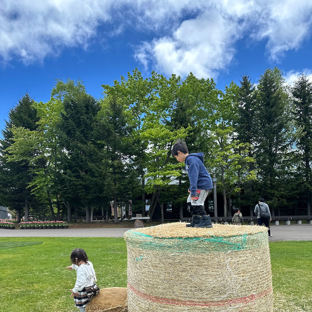 札幌周邊一日自駕遊 - 已回，強推！