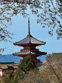โอซาก้า🇯🇵