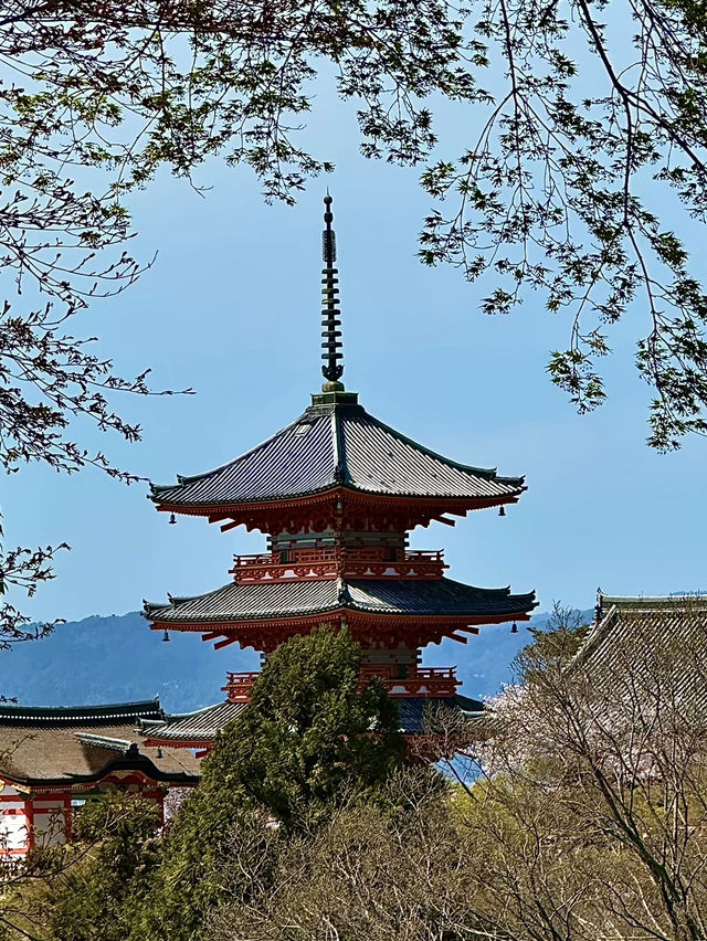 โอซาก้า🇯🇵