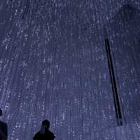 First Live Visit to My Favorite Light Art Museum — teamLab!