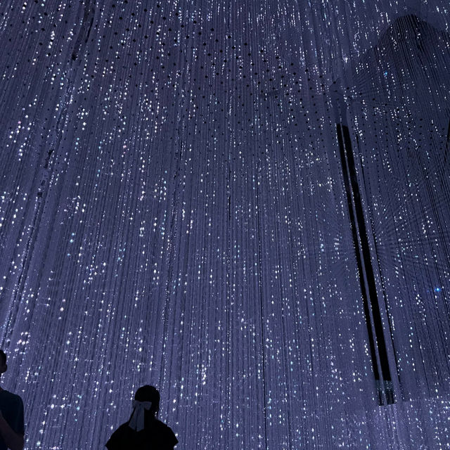 First Live Visit to My Favorite Light Art Museum — teamLab!