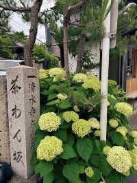 โอซาก้า🇯🇵