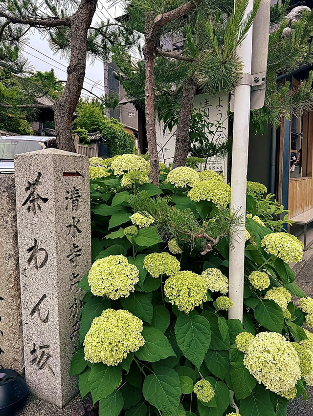 โอซาก้า🇯🇵