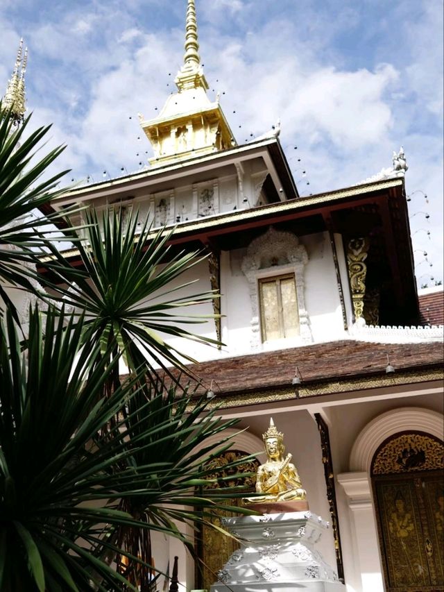 วัดป่าดาราภิรมย์ วัดสายป่าสวยสงบห้ามพลาด