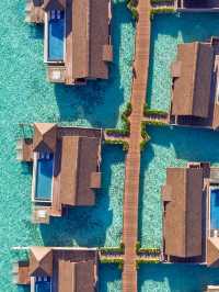 🌸 🇲🇻 Waldorf Astoria Maldives Ithaafushi