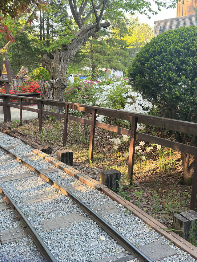 🚞 하루에 담긴 풍경과 맛, 춘천 여행기