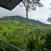 a wonderful experienxe in Cameron hillands