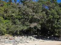 Hot Water Beach