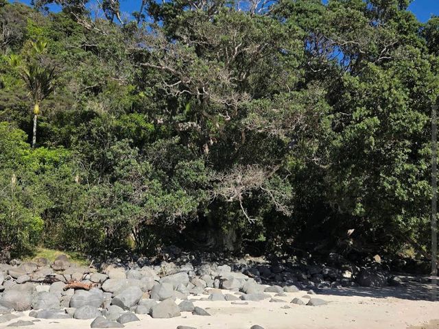 Hot Water Beach
