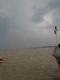 🌇 Chasing Sunsets & Feeding Birds at Botataung Jetty