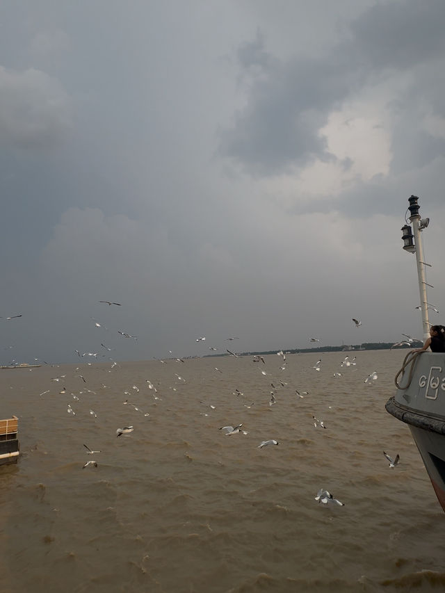 🌇 Chasing Sunsets & Feeding Birds at Botataung Jetty