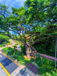 Journey to Hort Park 
