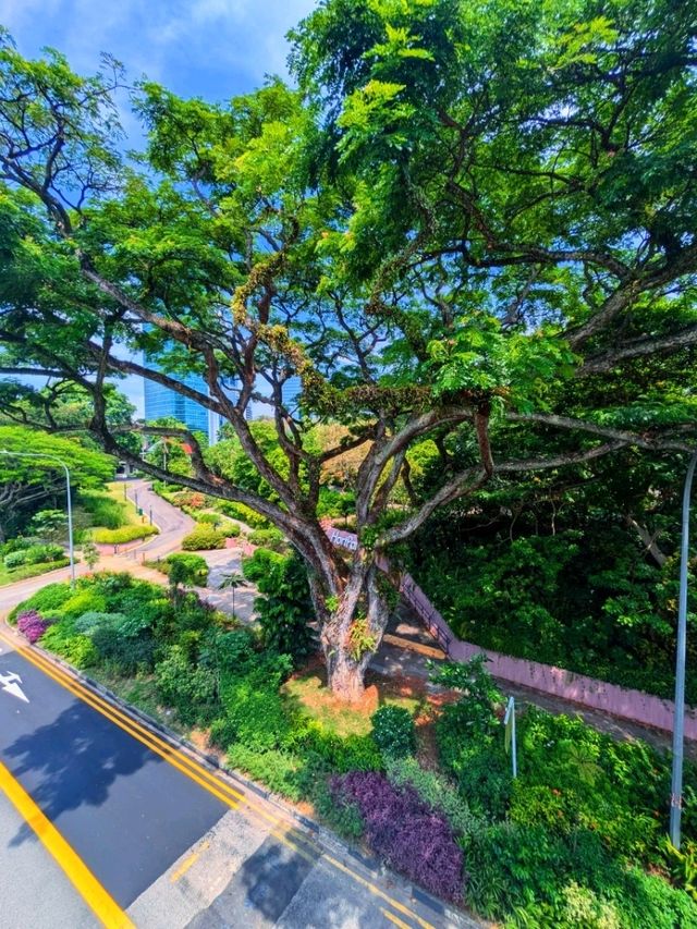 Journey to Hort Park 