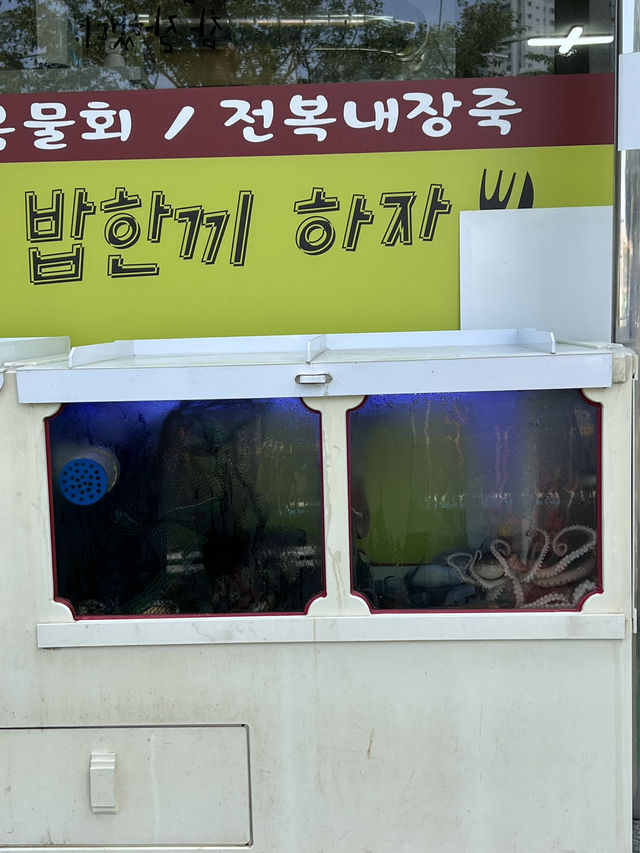 여수 야외데이트 맛집 밥먹고가💙🌿