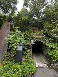 湯河原 万葉公園に行くべき5つの理由🇯🇵✈️🌎