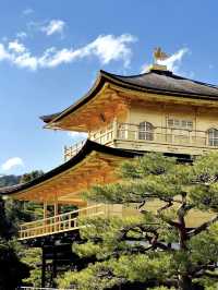 大阪金閣寺 💕 燃燒在文字與現實間的幻美