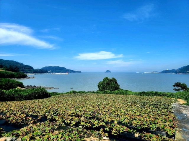 백수해안도로 (전라남도 영광군 바다여행)