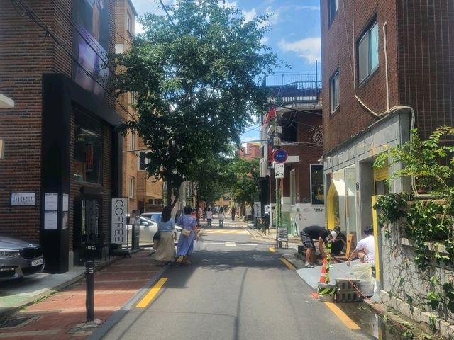 서울숲공원 (하늘 그리고 수국길)