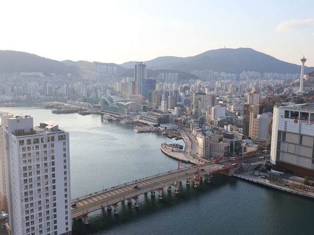 부산 영도에서 꼭 가봐야 할 28층 고층 감성카페 🌆